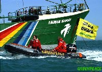 Elecciones en Greenpeace España